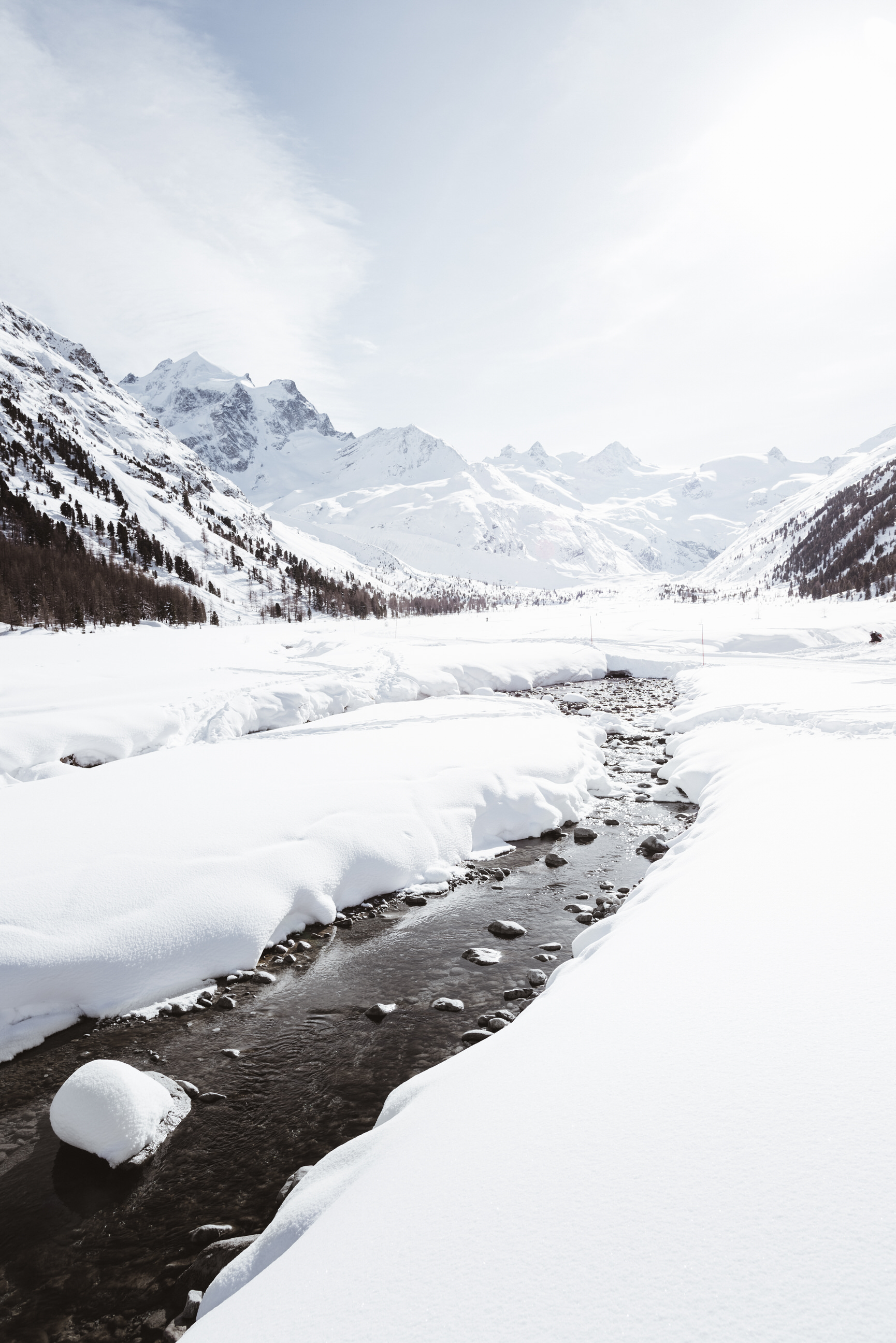 photo of winter snowshoe